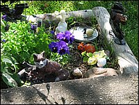Img_0200.jpg