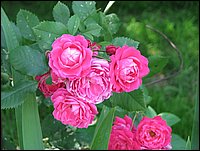 Img_0202.jpg