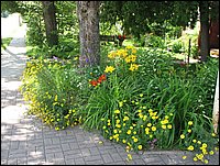 Img_0203.jpg