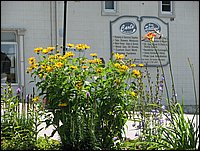 Img_0212.jpg