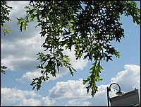 Img_0213.jpg