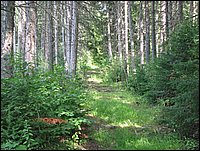Img_0222.jpg