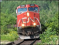 Img_0228.jpg