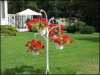 Img_0570.jpg