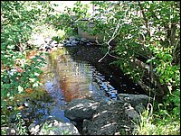 Img_0685.jpg
