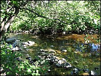 Img_0689.jpg
