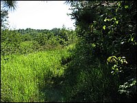 Img_0690.jpg