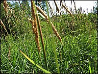 Img_0691.jpg