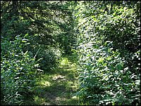 Img_0701.jpg