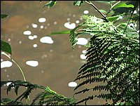 Img_0707.jpg