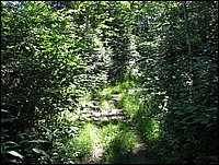 Img_0715.jpg
