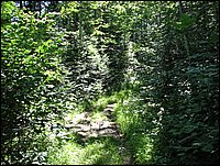Img_0720.jpg