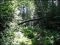Img_0722.jpg
