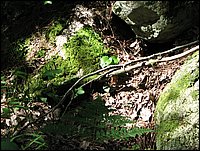 Img_0750.jpg