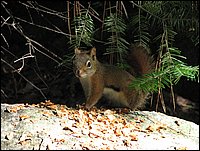 Img_0755.jpg