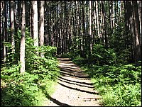 Img_0760.jpg