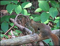 Img_0763.jpg