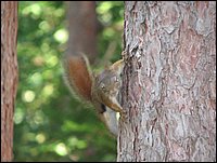 Img_0765.jpg