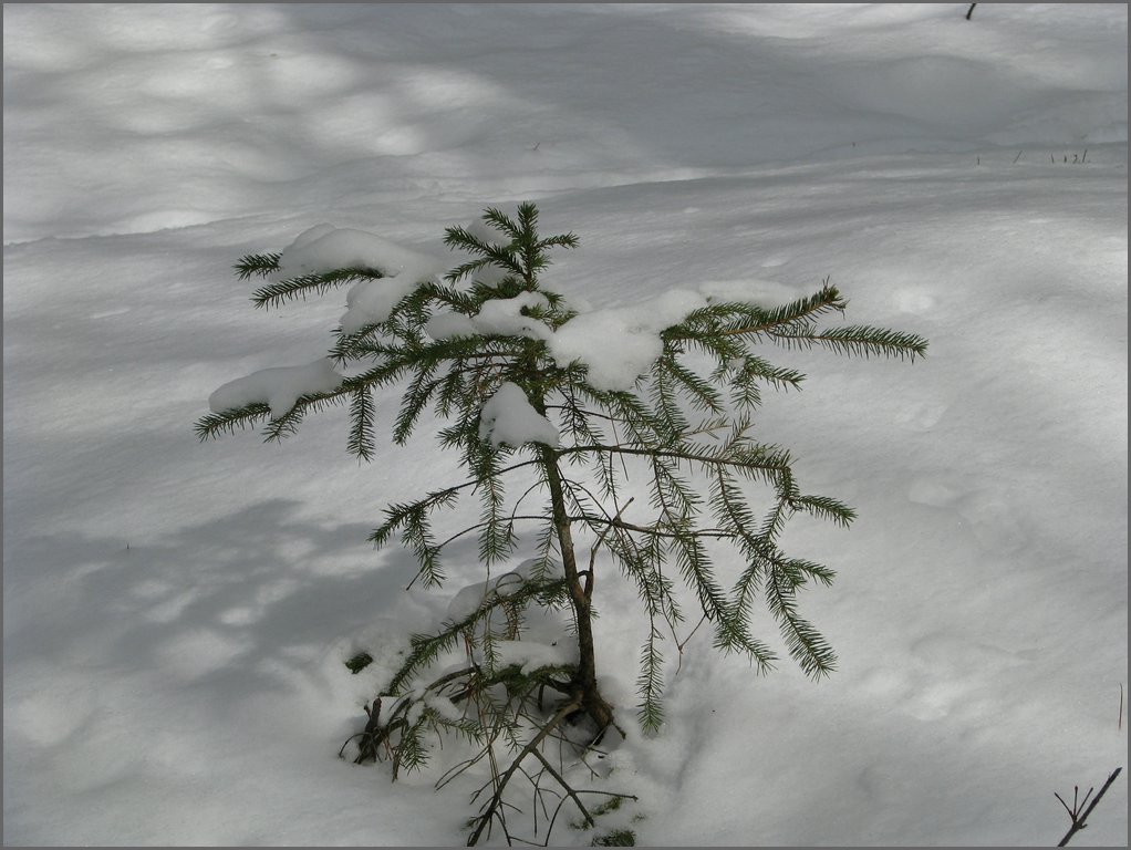 March 2008 14.jpg