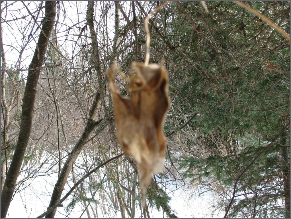 March 2008 50.jpg