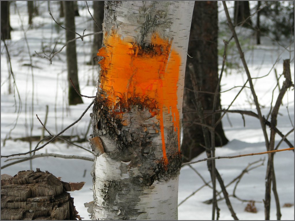 March 2008 57.jpg