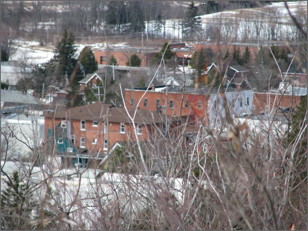 March 2008 72.jpg