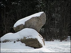 March 2008 13.jpg