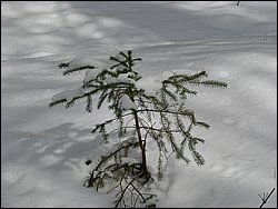 March 2008 14.jpg