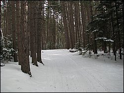 March 2008 15.jpg