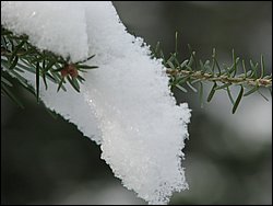 March 2008 19.jpg