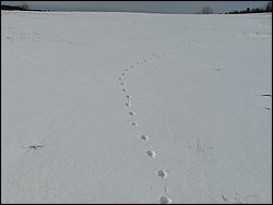 March 2008 28.jpg