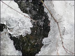 March 2008 40.jpg