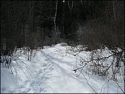 March 2008 48.jpg