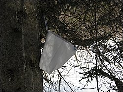 March 2008 49.jpg