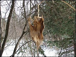 March 2008 50.jpg