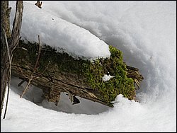 March 2008 51.jpg