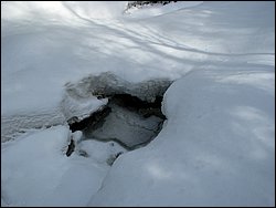 March 2008 52.jpg