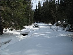 March 2008 53.jpg