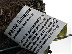 March 2008 55.jpg