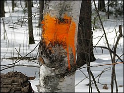 March 2008 57.jpg