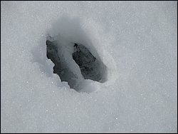 March 2008 64.jpg