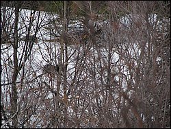 March 2008 75.jpg