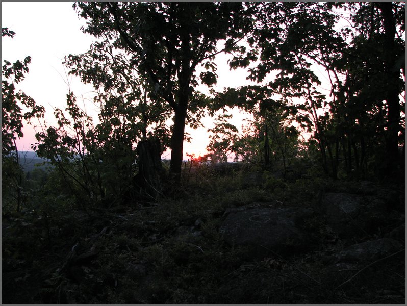 Img_0932.jpg