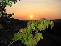 Img_0900.jpg