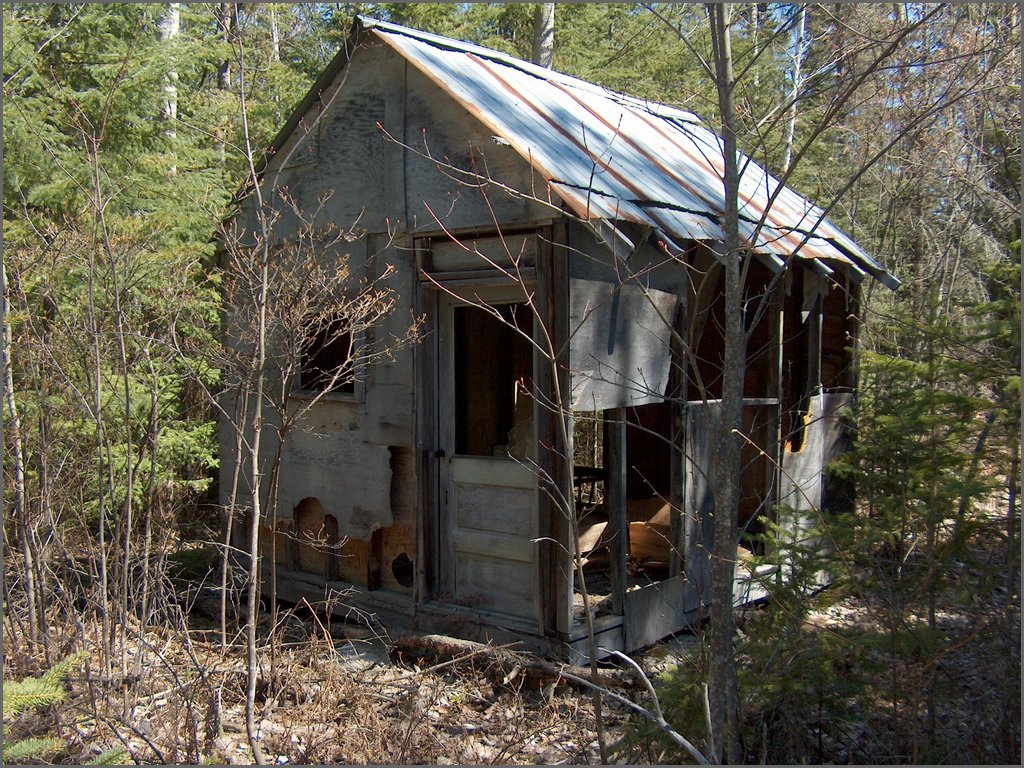Hpim0782.jpg