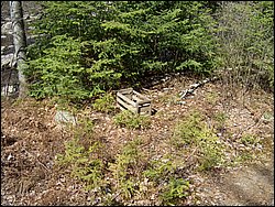 Hpim0784.jpg