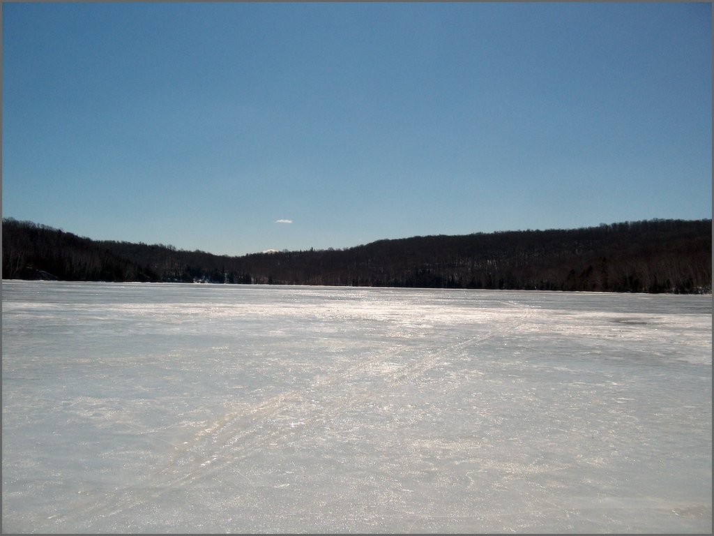 Hpim0307.jpg