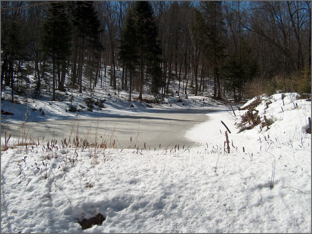 Hpim0315.jpg