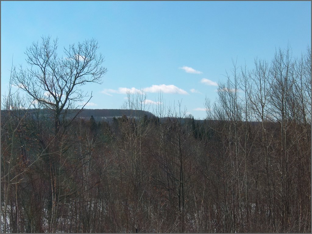 Hpim0328.jpg