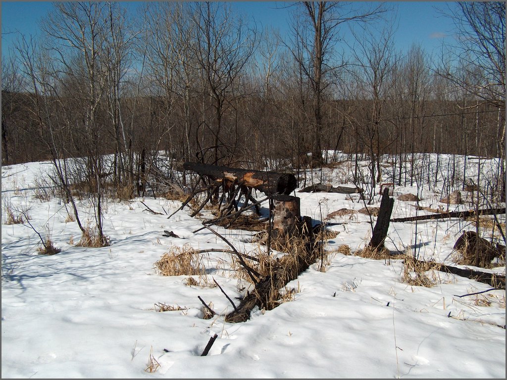 Hpim0329.jpg